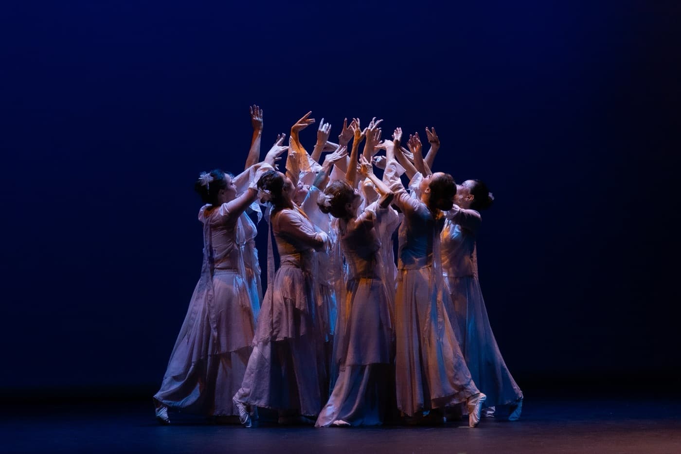 An adult dancer focused in practice
